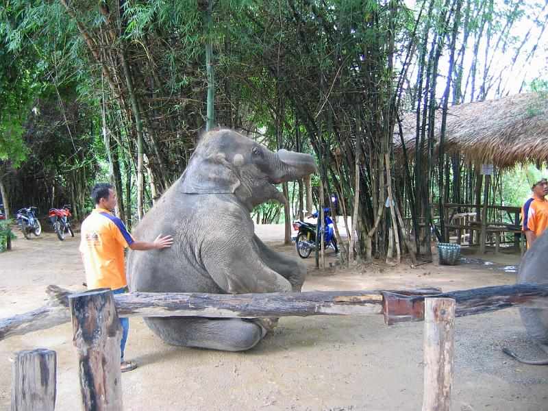 Thailand (222)